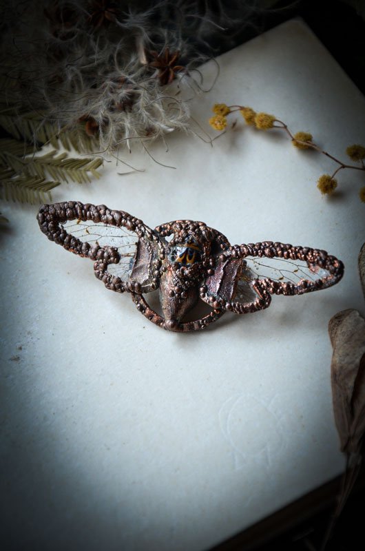 Broche Cigale plaquée en Cuivre