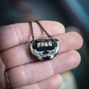 Collier Mâchoire & Dent en résine