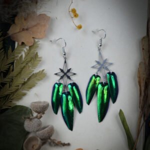 Boucles d'oreilles Elytres de scarabée