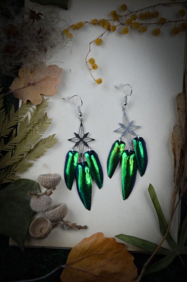 Boucles d'oreilles Elytres de scarabée
