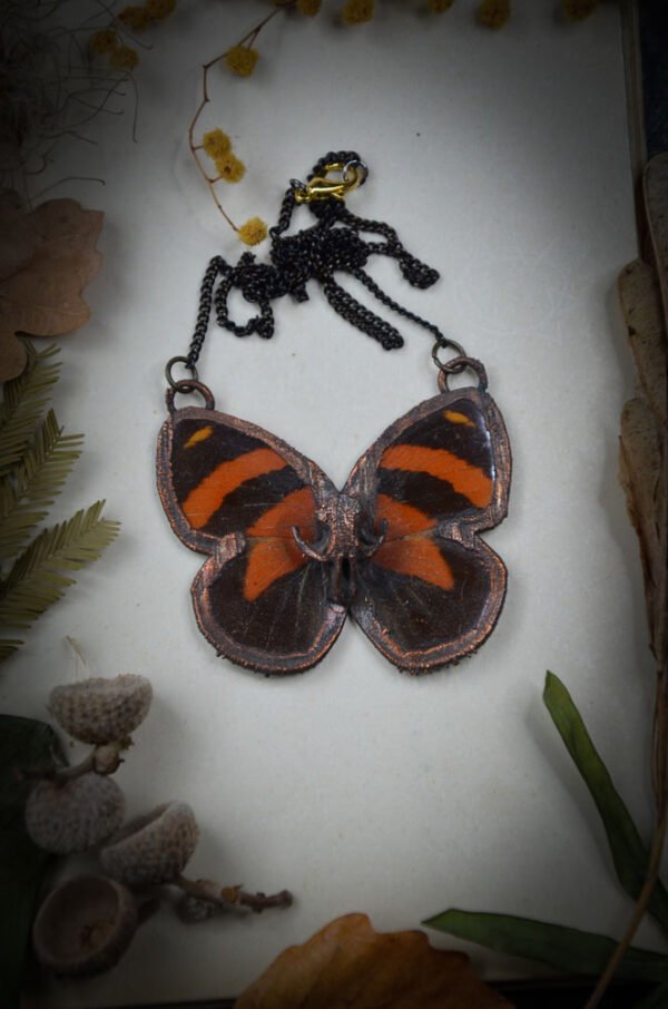 Collier Papillon et Mini Crâne