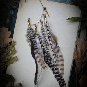 Tour d'oreille plumes Noir & blanc
