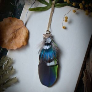 Sautoir Plumes naturelles Paon Faisan